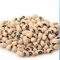 Lobia. Cowpeas. Pahadi sothi