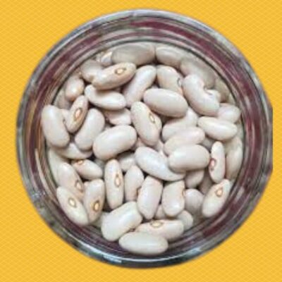 Rajama Munsiyari (White)