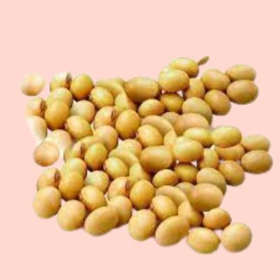 Soyabeans Pahadi