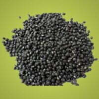 Pahadi urad sabut, urad daal sabut.